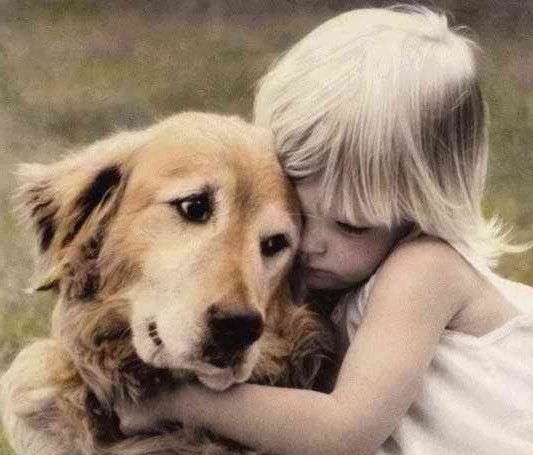 Вірні друзі людини — собаки