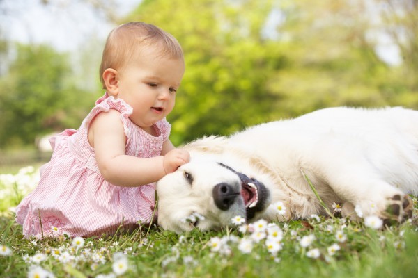 як прищепити дитині любов до тварин