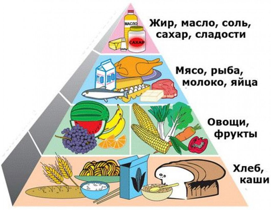 харчова піраміда харчування