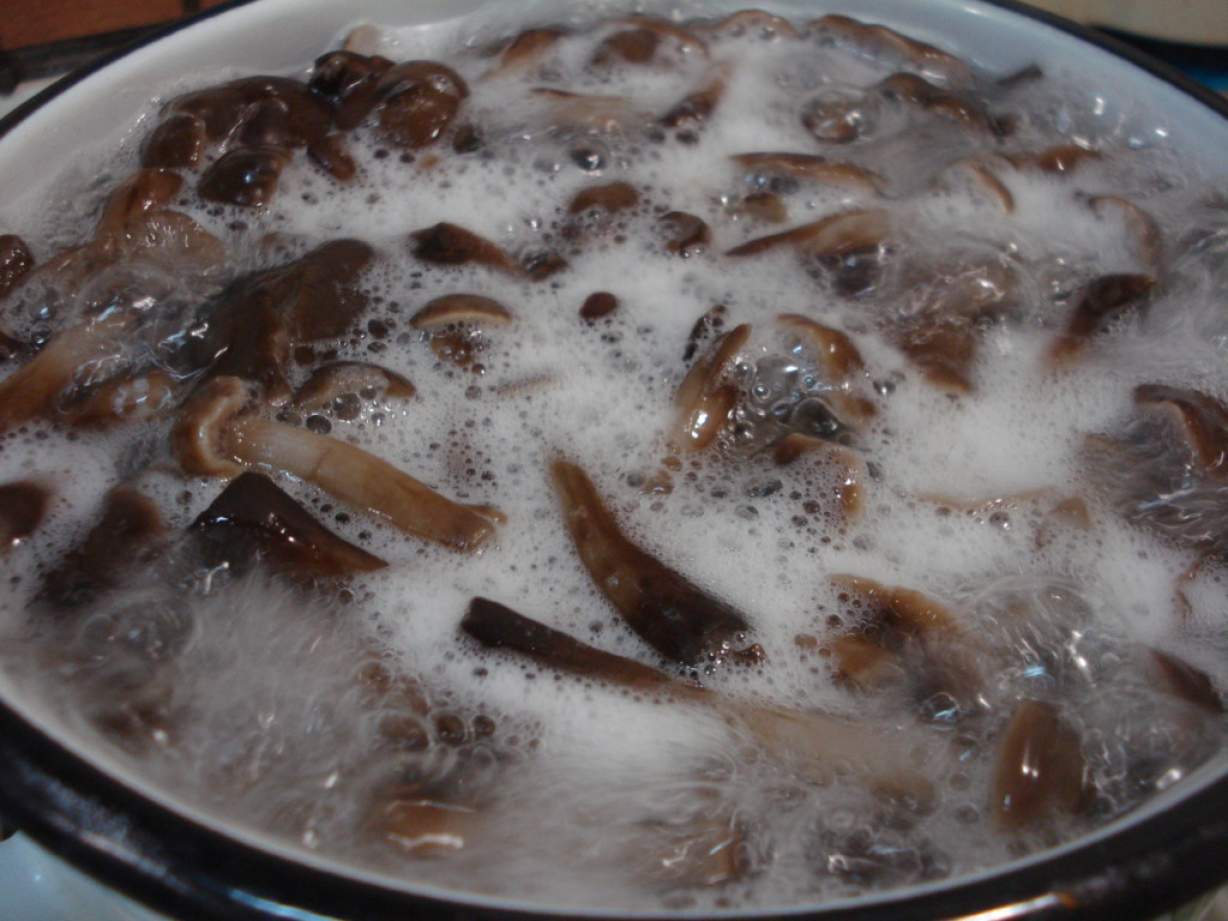 Смачна грибна ікра або смажені опеньки, готові до їжі і заморожування