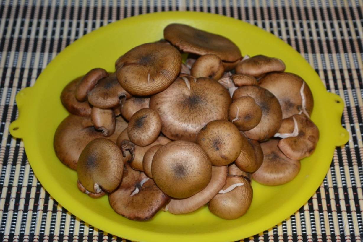 Соковита свинина з грибами, сиром і овочами запечена в духовці