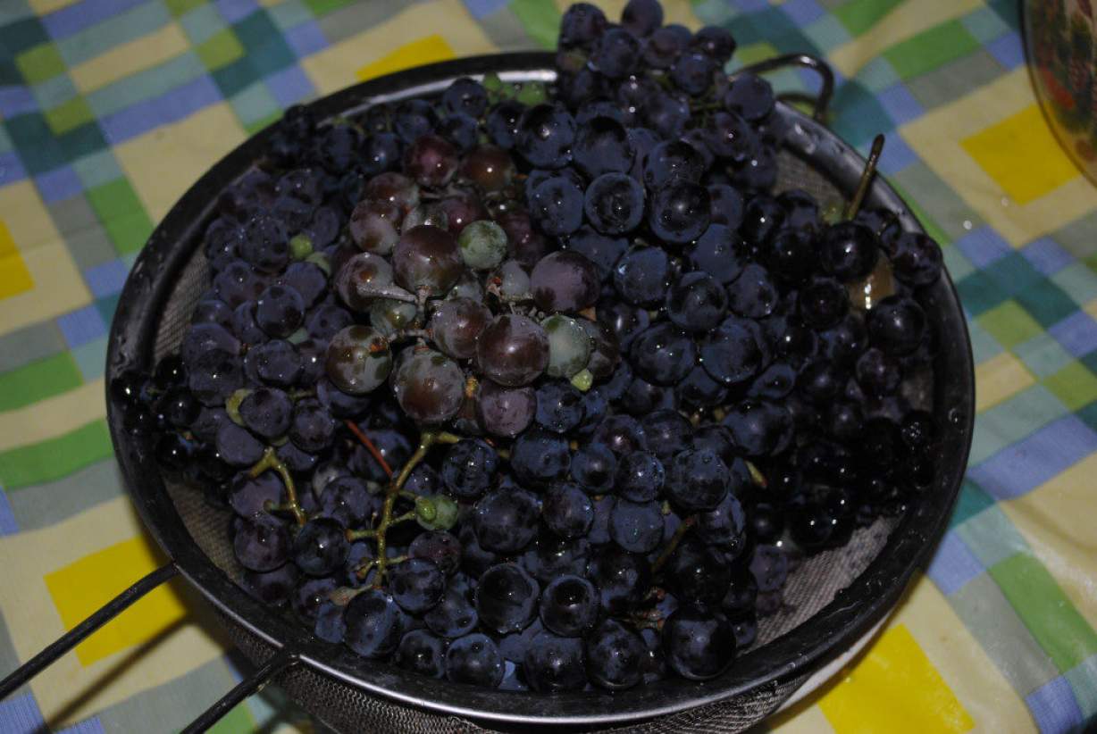 Простий десерт з горіхів і виноградного соку — швидка чурчхела домашня