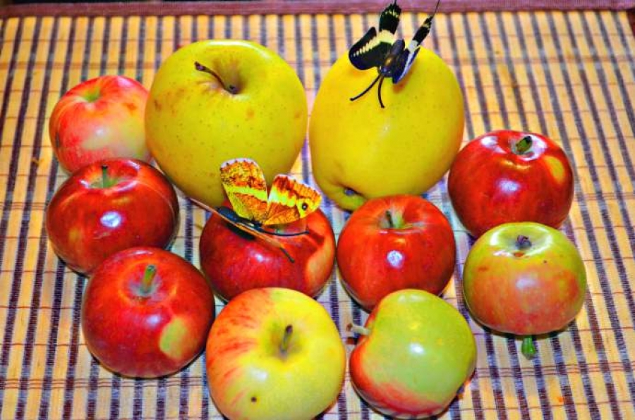 преображення господнє і яблучний спас у 2016 році: звичаї, традиції, рецепти